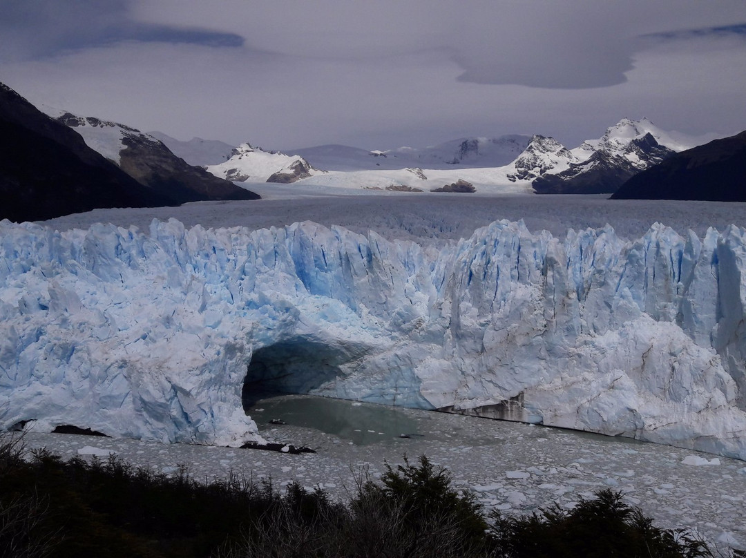 Indigo Sud Traslados privados en El Calafate-埃尔卡拉法特必去景点