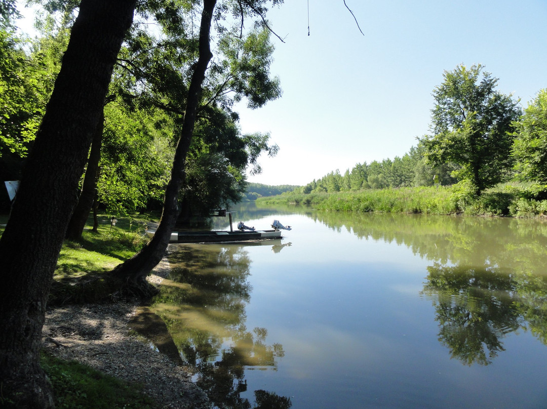 Kimle旅游攻略图片