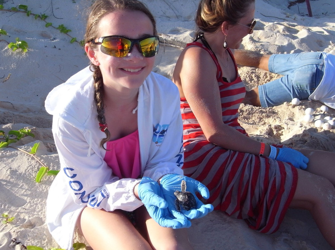 Rena's Scuba School and Travel景点图片