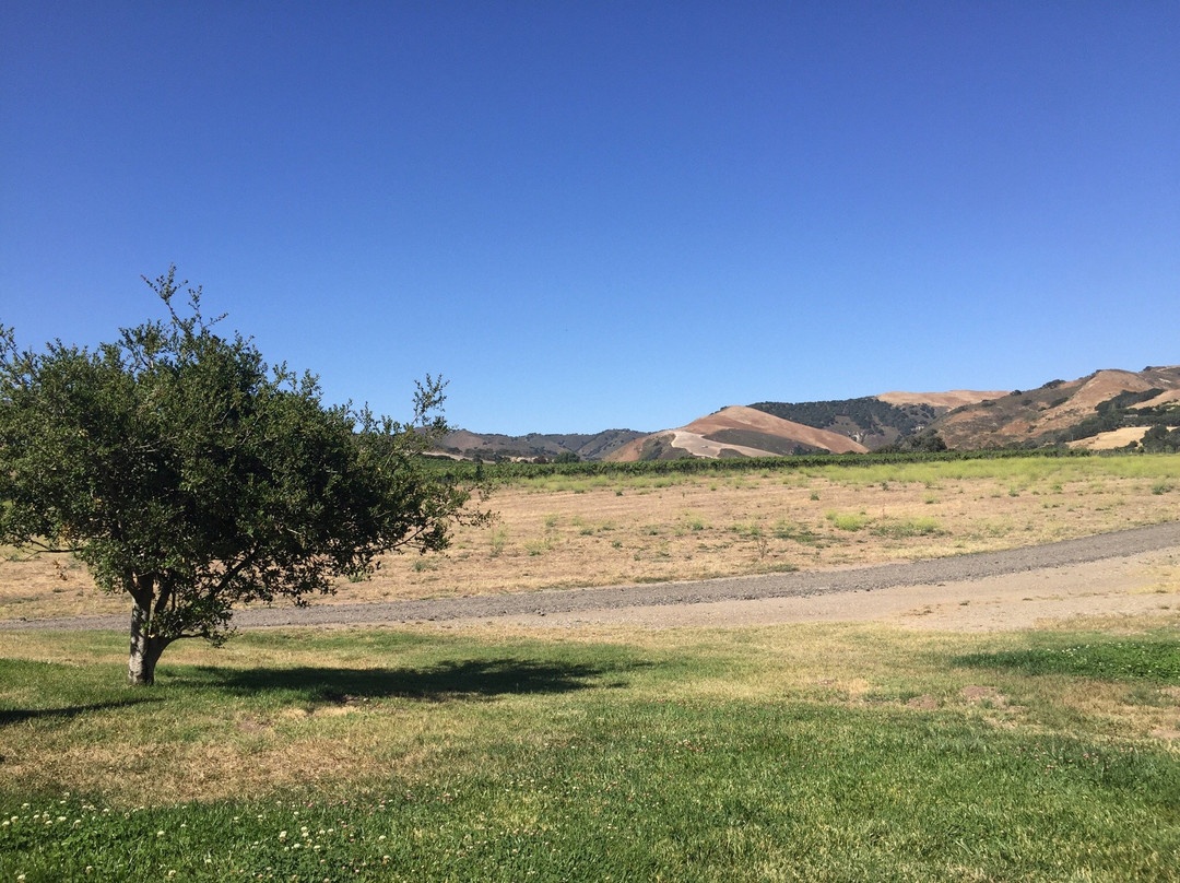 Babcock Winery & Vineyards-隆波克必去景点