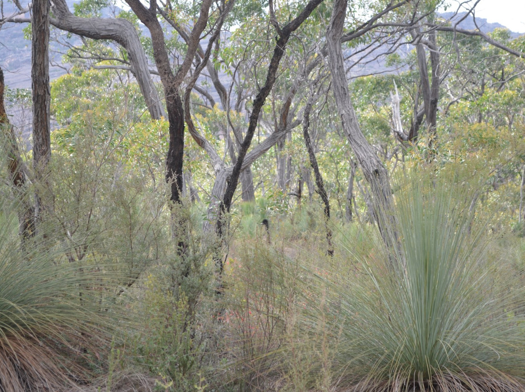 Mt Stapylton-Laharum必去景点