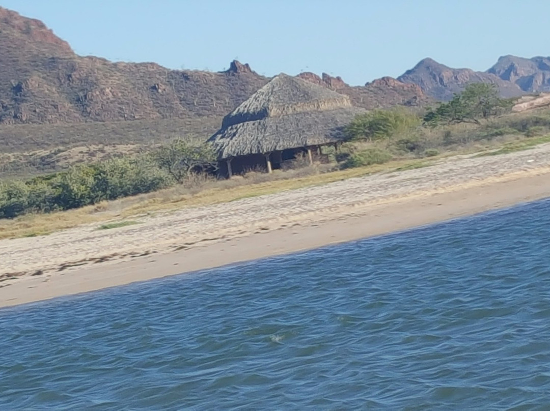 Estero el Soldado, Área Natural Protegida-圣卡洛斯必去景点