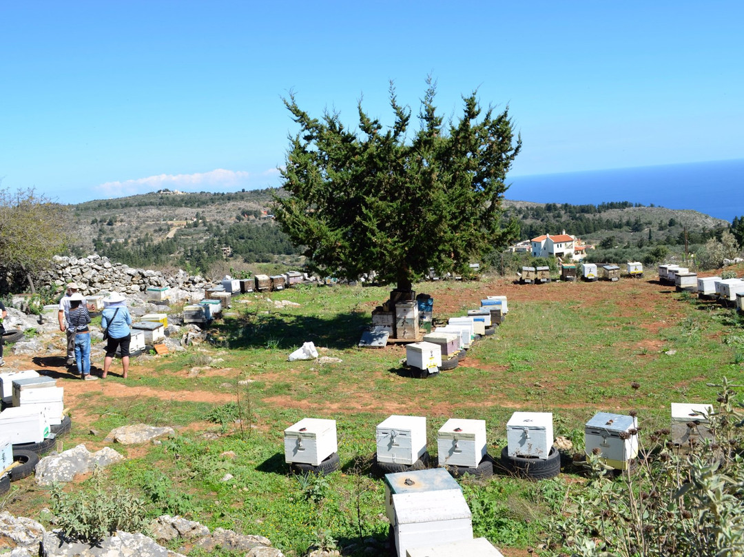 Hand Picked Greece景点图片