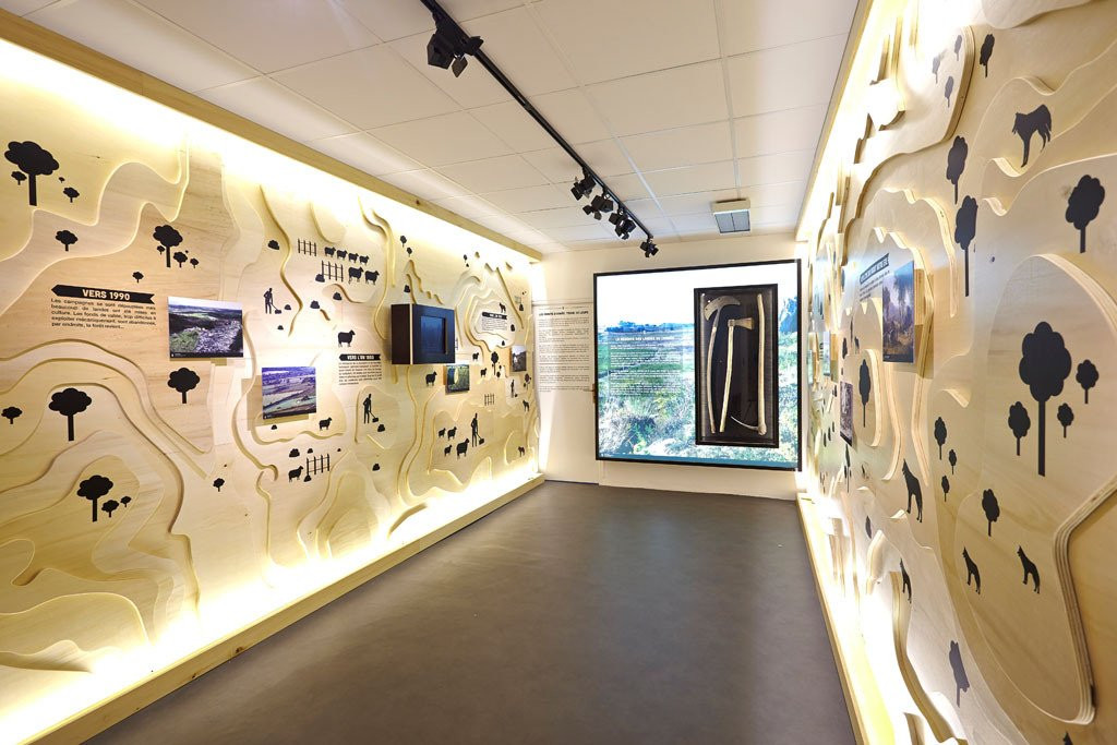 Musée du Loup景点图片