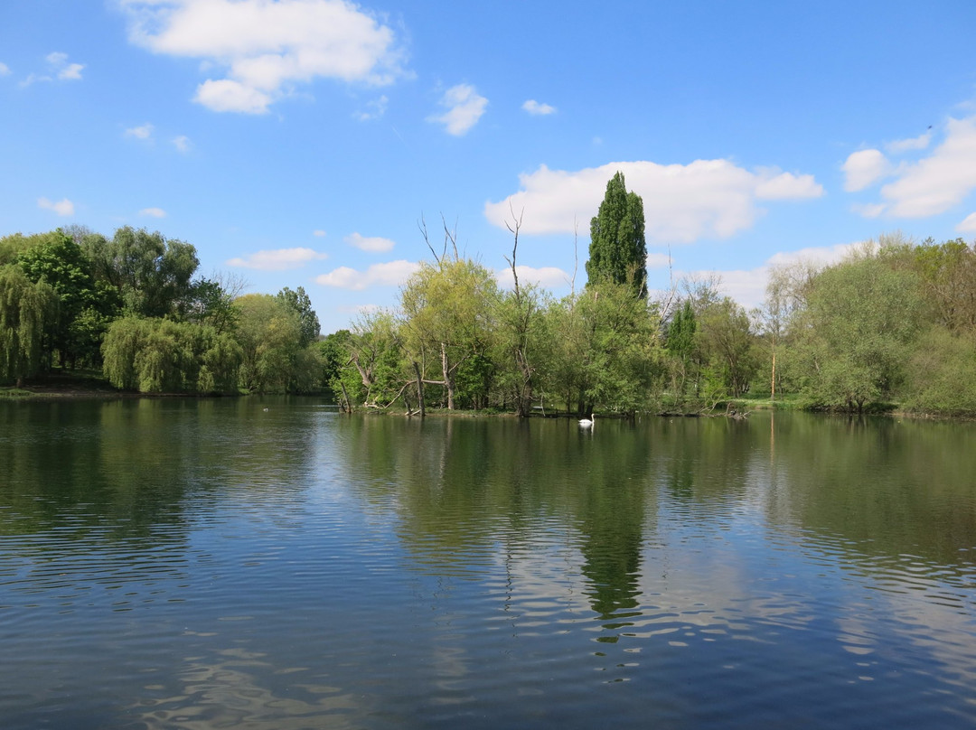 Parc du Château景点图片