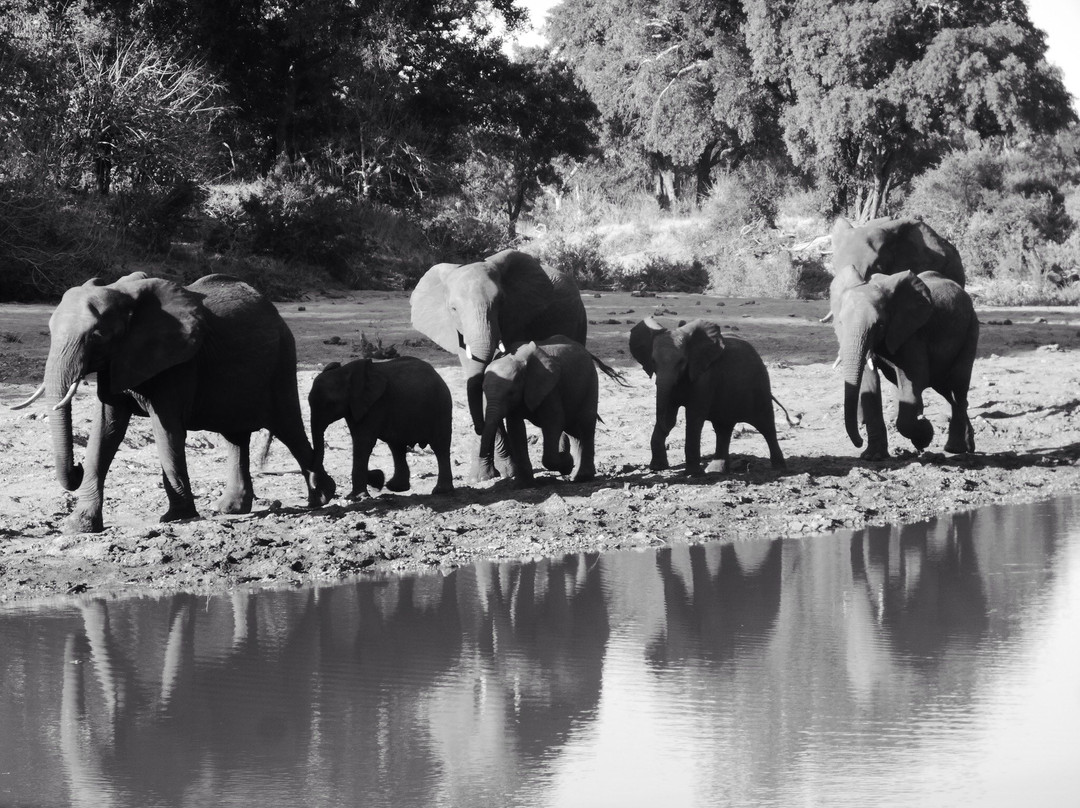 Mphongolo Backpacking Trail-克鲁格国家公园必去景点