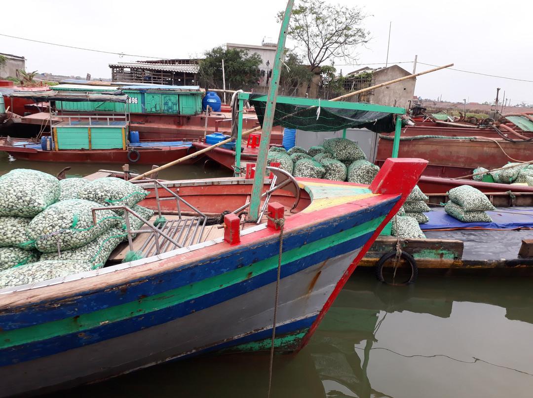 Xuan Thuy National Park-Thai Binh必去景点