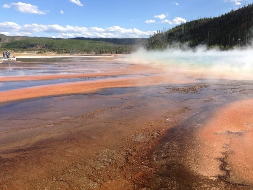 Cody Wyoming Adventures-Wapiti必去景点