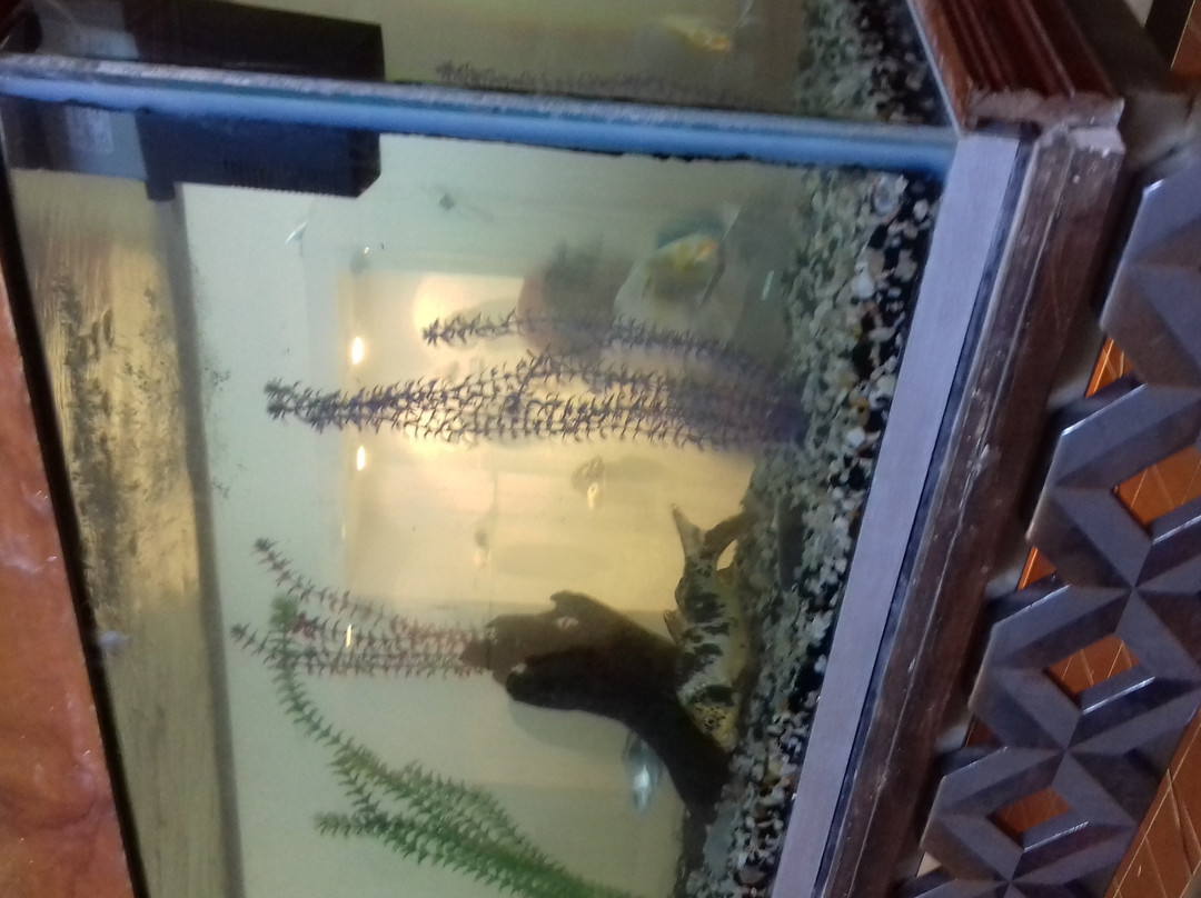 Museo Del Mar Mexico-Telchac Puerto必去景点