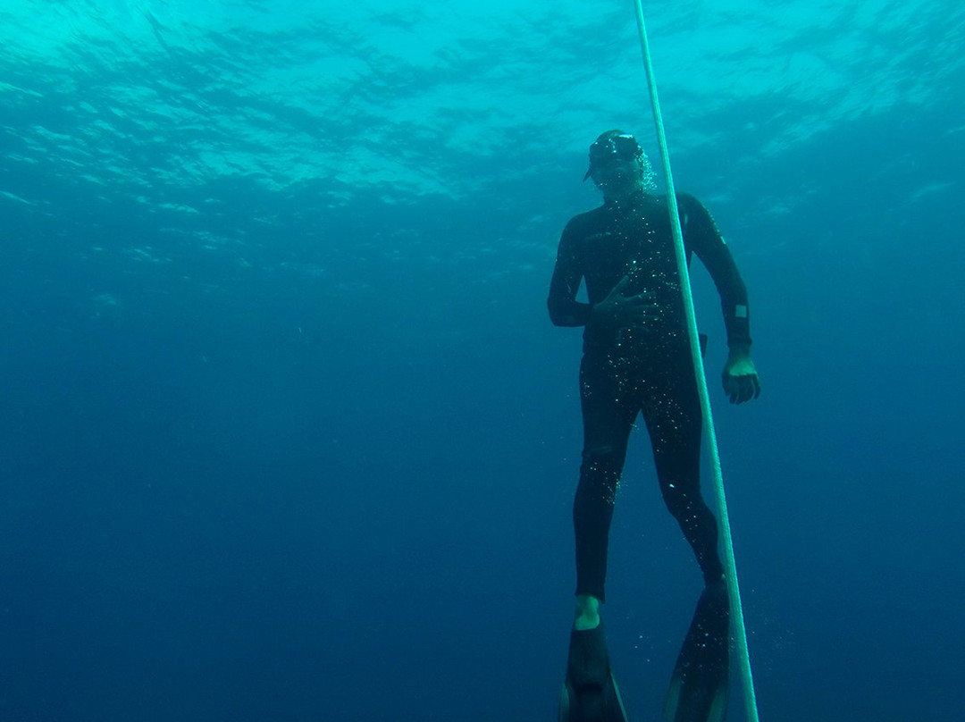 Freedive Blue Marine-Gili Air必去景点