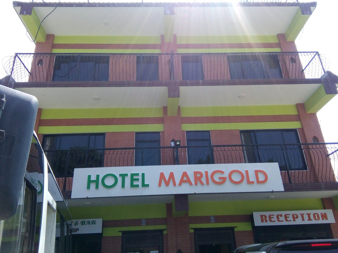 Hotel Mari Gold主图