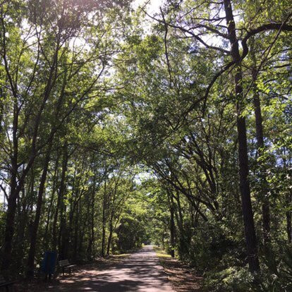 Jacksonville-Baldwin Rail Trail-杰克逊维尔必去景点