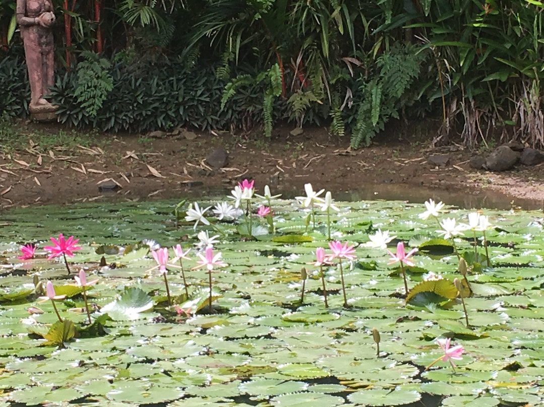 Flora Tropica Gardens-萨武萨武必去景点