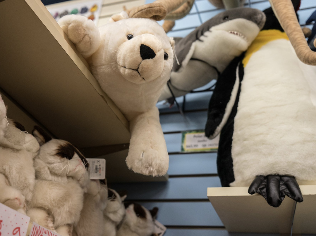 A2Z Science and Learning Toy Store-北安普敦必去景点