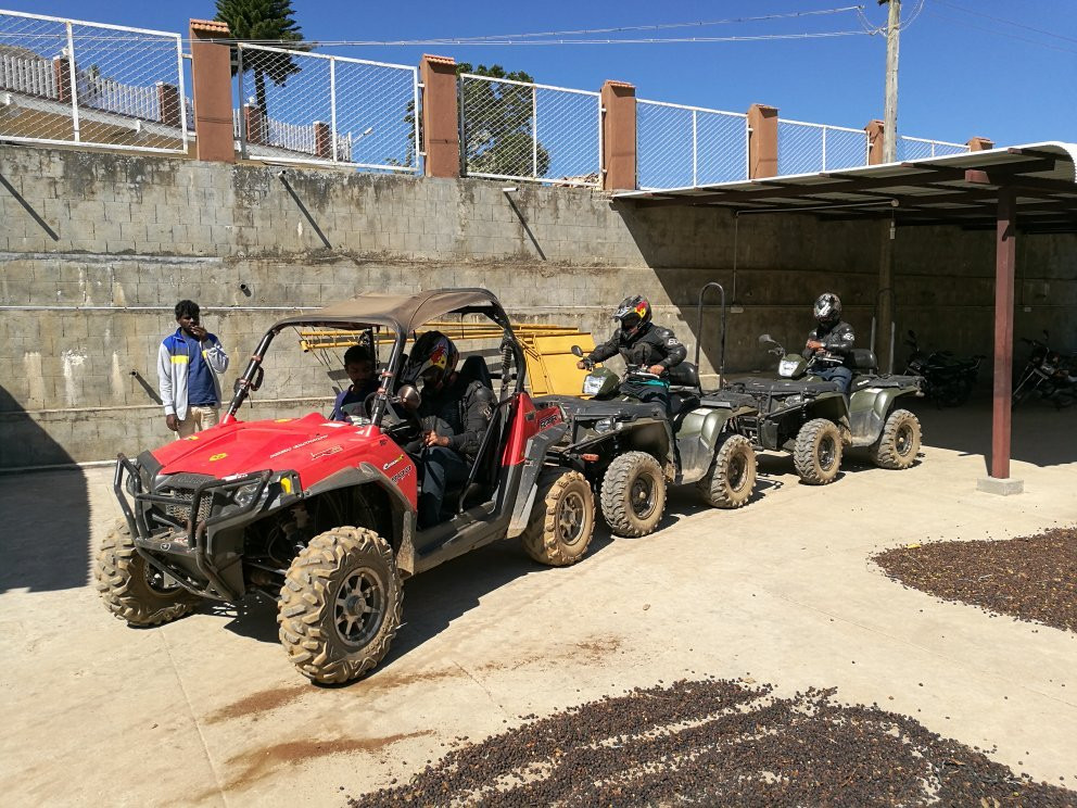 Dirt Mania Outdoor Adventures景点图片