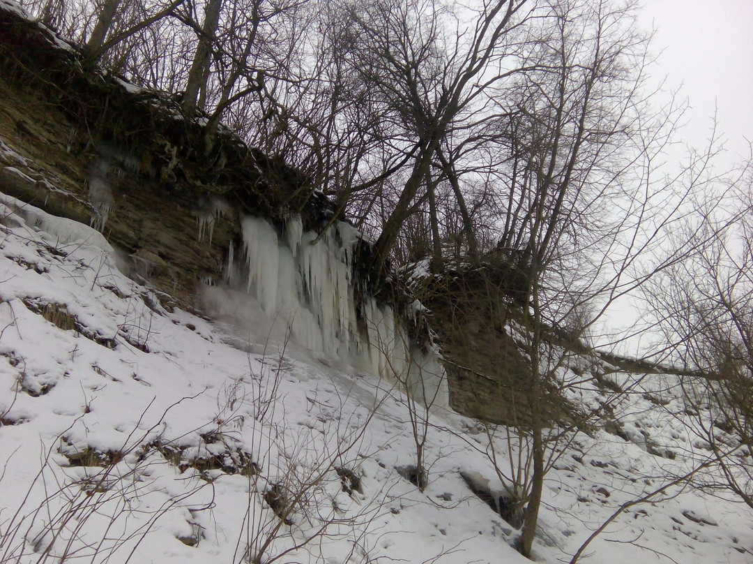 Canyon of River Lava景点图片