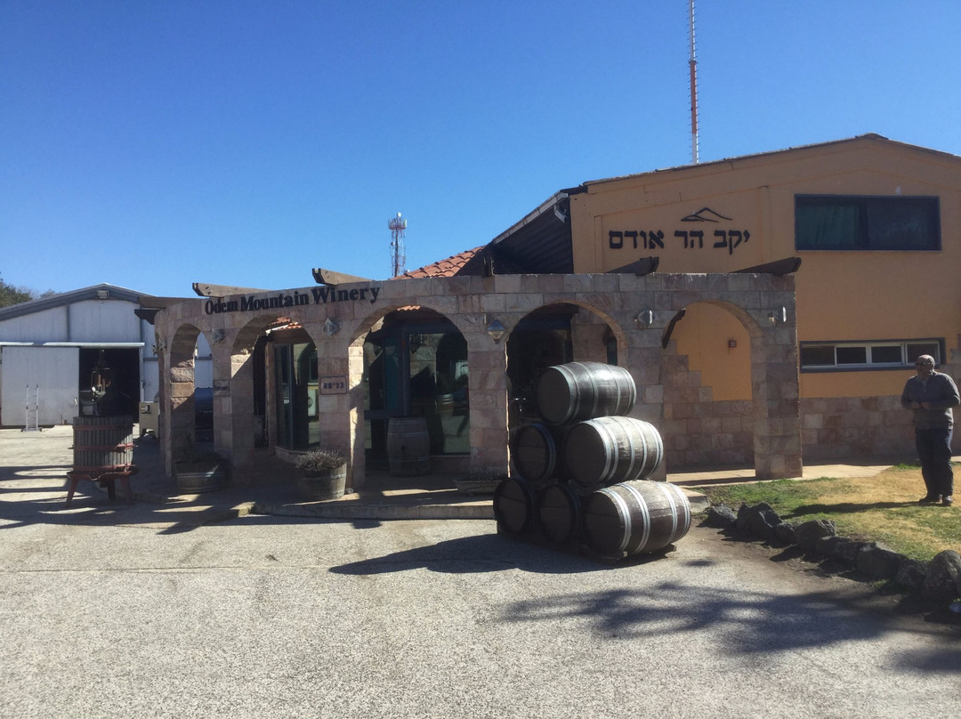 Odem Mountain Winery-Odem必去景点