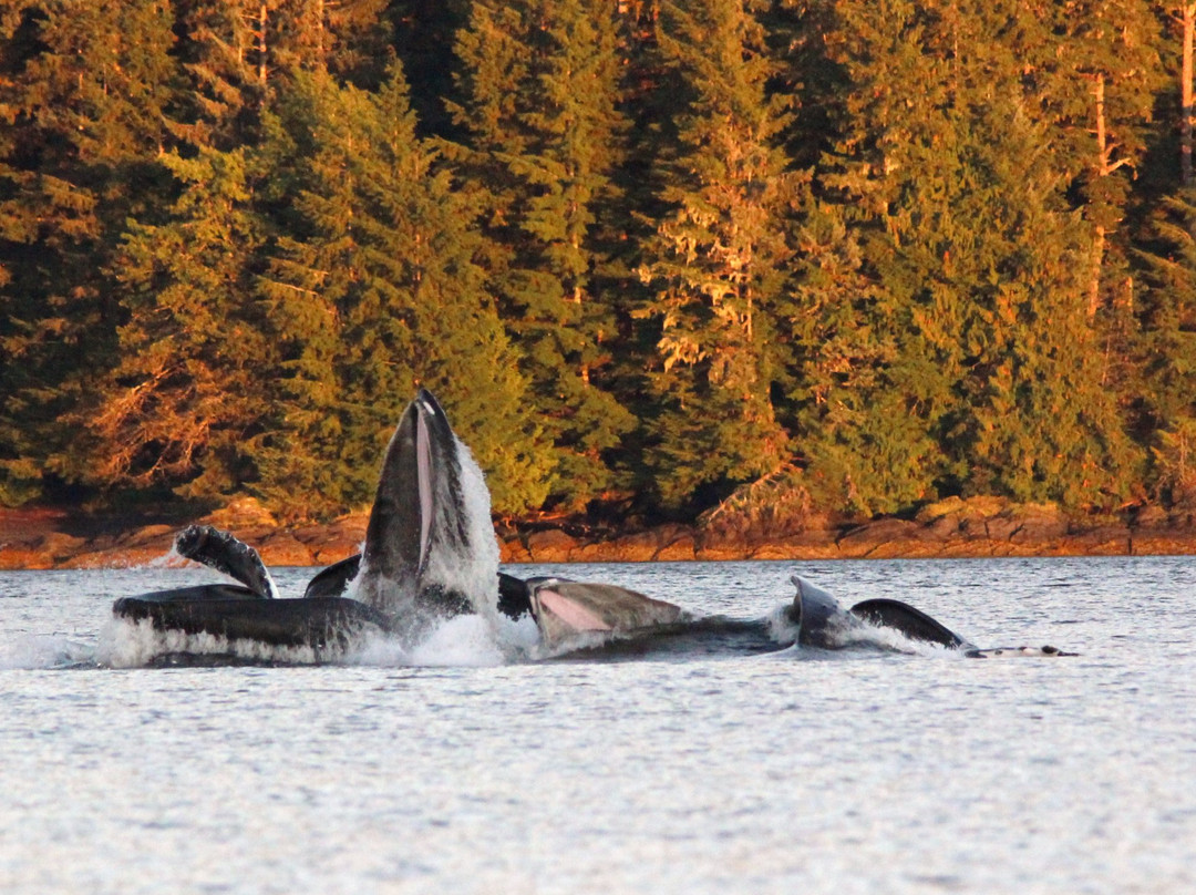 蓝汀酒店及餐厅