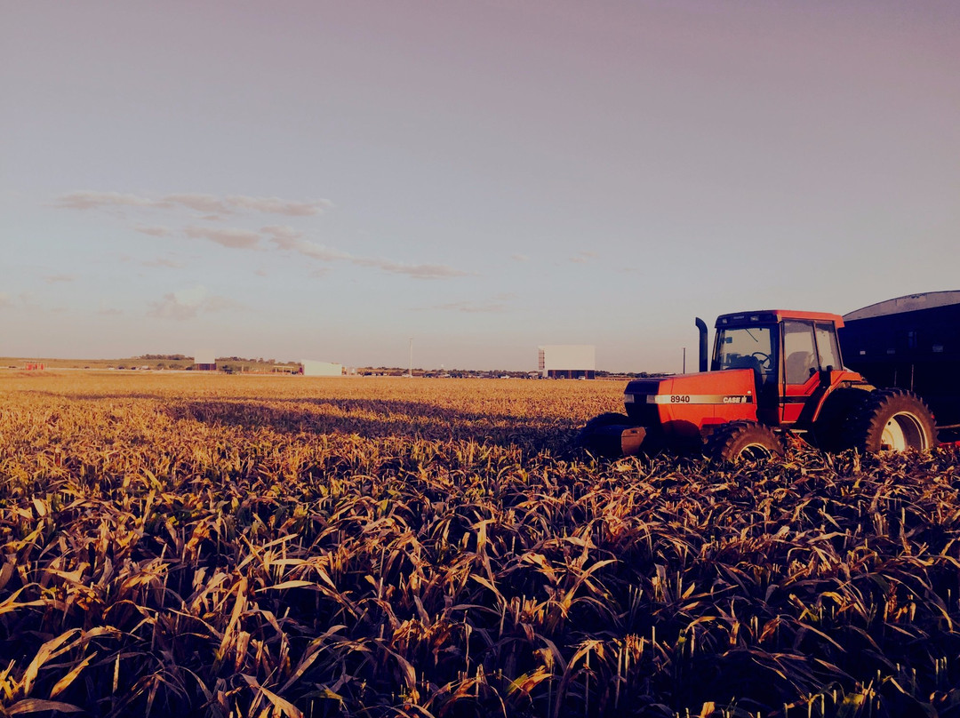 Stars and Stripes Drive In Theatre-新布朗费尔斯必去景点