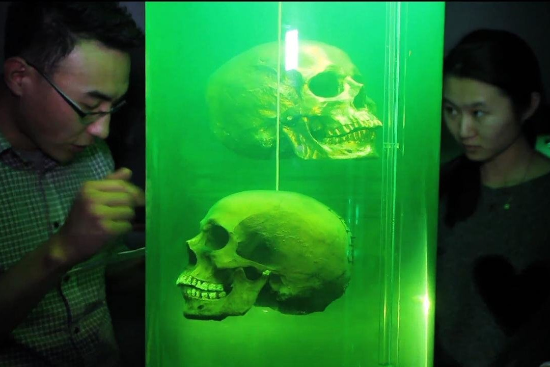 Escape Game Experience-莫米必去景点