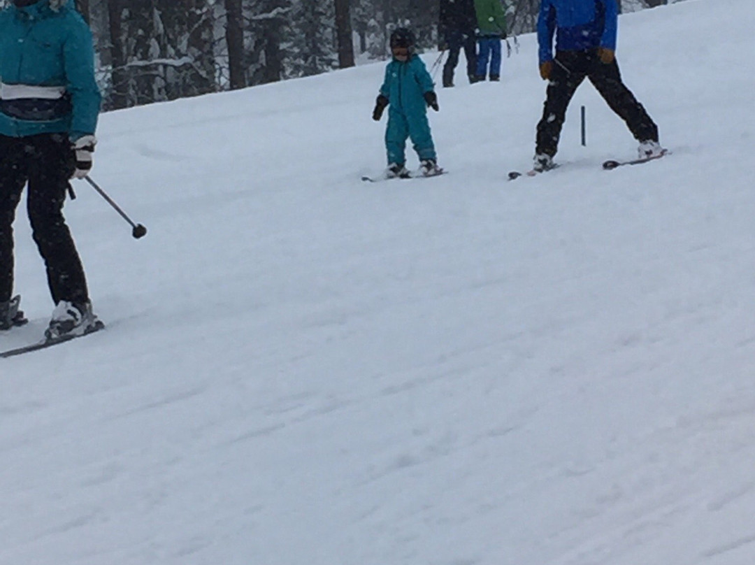 Ski School Pyha-Pyhatunturi必去景点