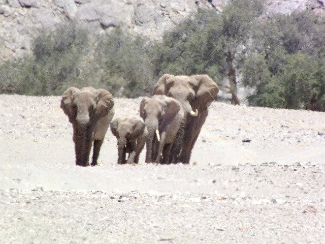 Hoanib River-Kaokoland必去景点