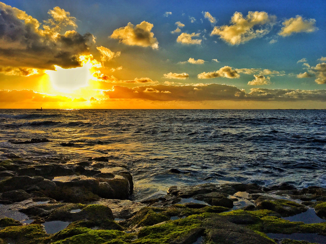 Mirador Playa de Salinetas景点图片