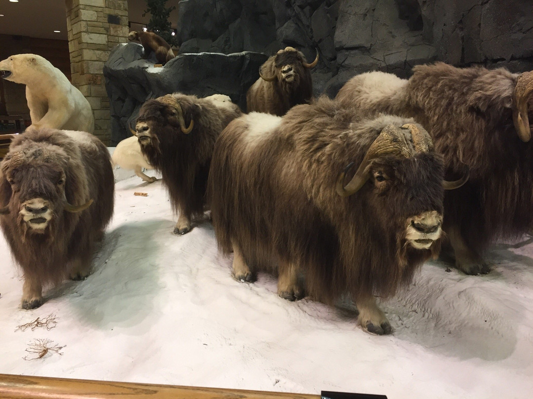 Cabela's-沃思堡必去景点