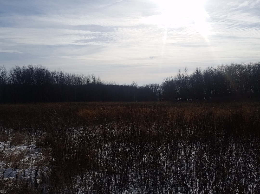 Rice Lake State Park-Owatonna必去景点