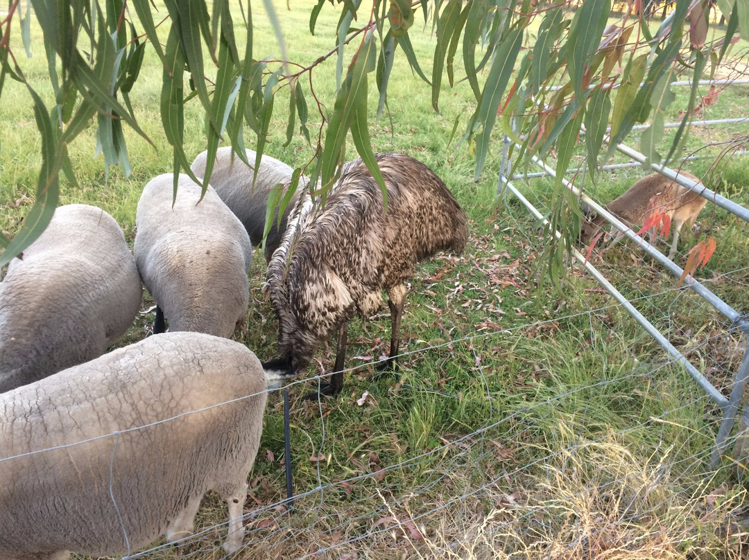 Enderslie House主图