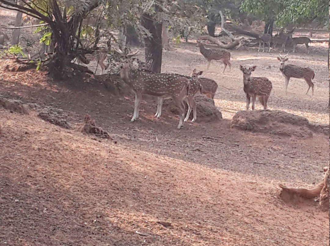 Ballavpur Wildlife Sanctuary景点图片