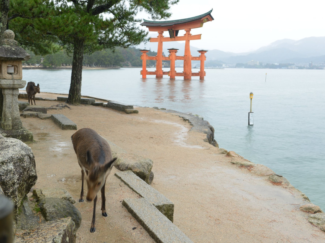 Mikasahama Beach-廿日市市必去景点