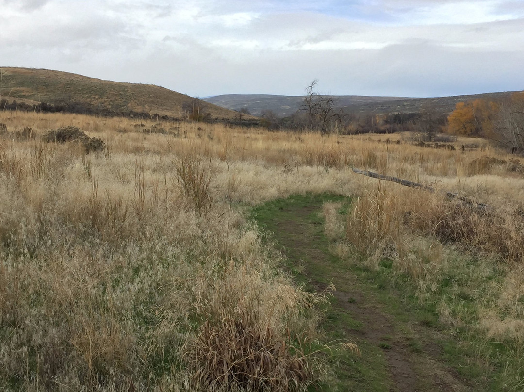 Cowiche Canyon Trail景点图片