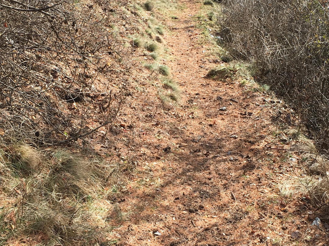 Rovina Rotund e Reichenberg-Tubre必去景点