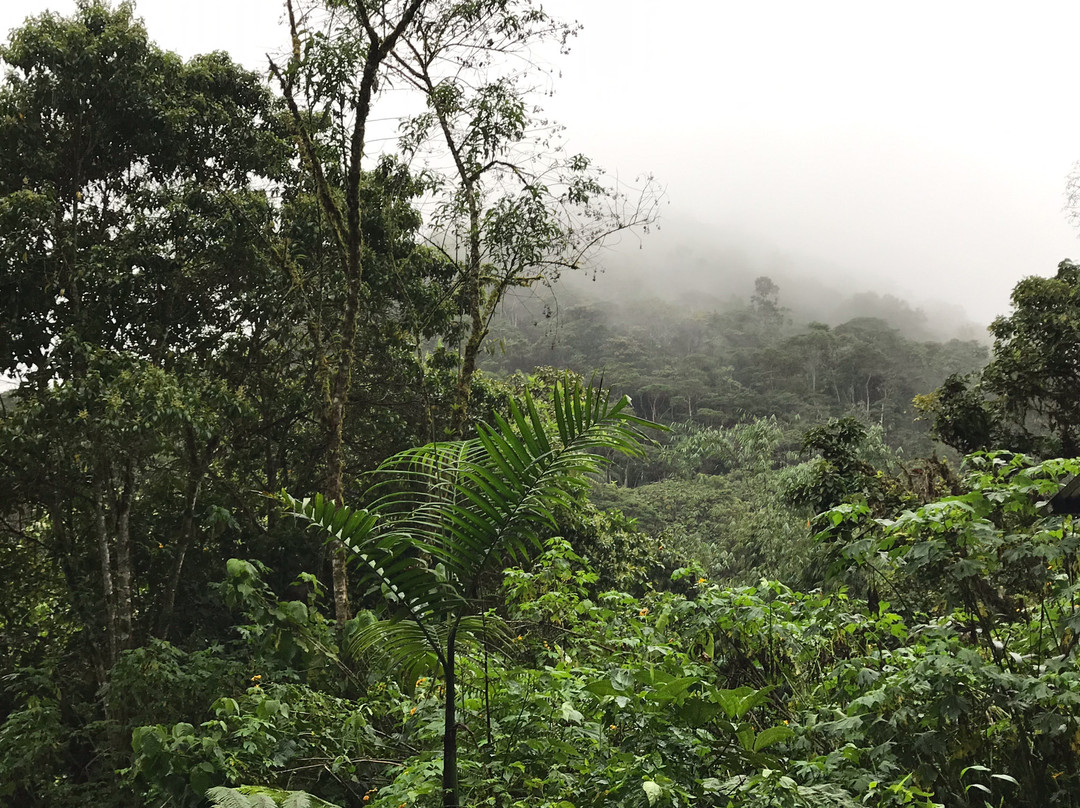 Hosteria Septimo Paraiso主图