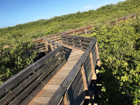 Robert K Rees Memorial Park