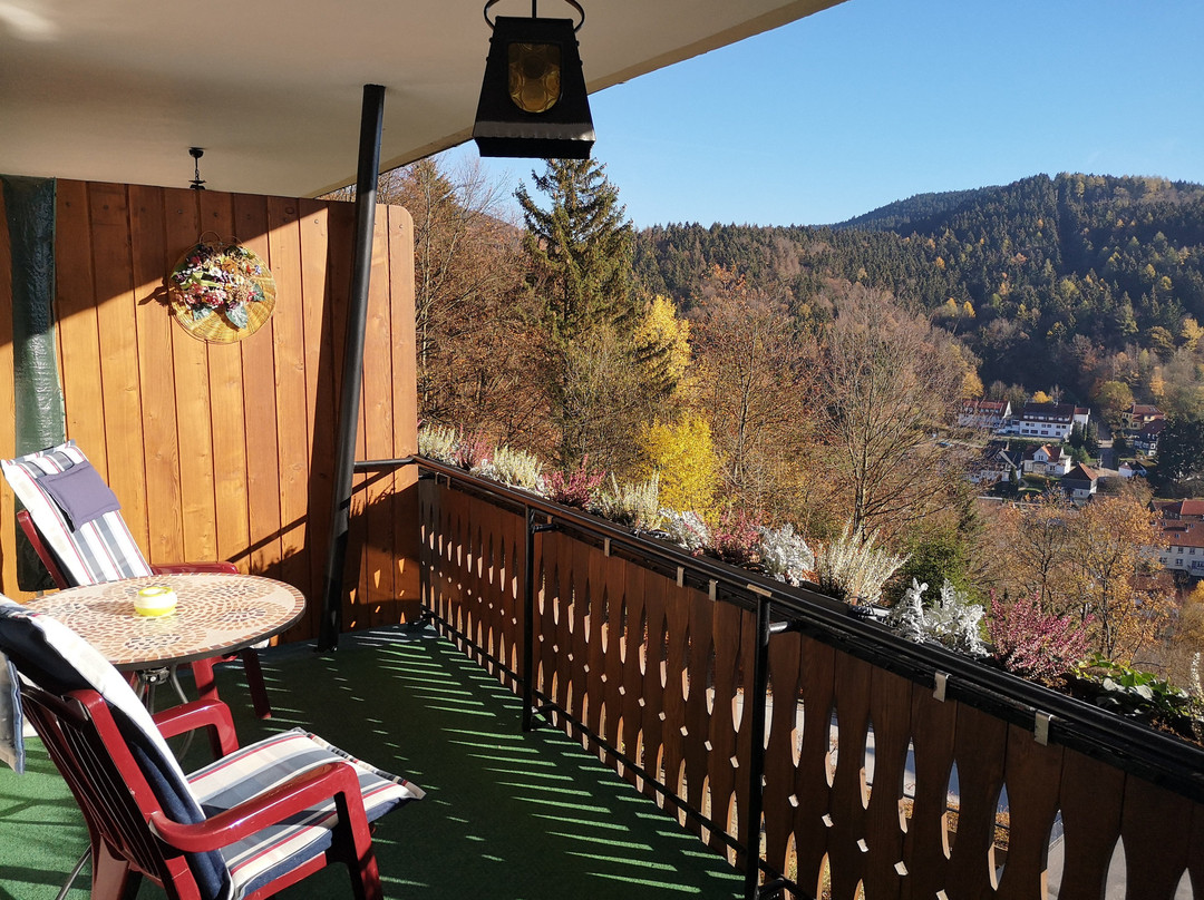 Pension Talblick主图