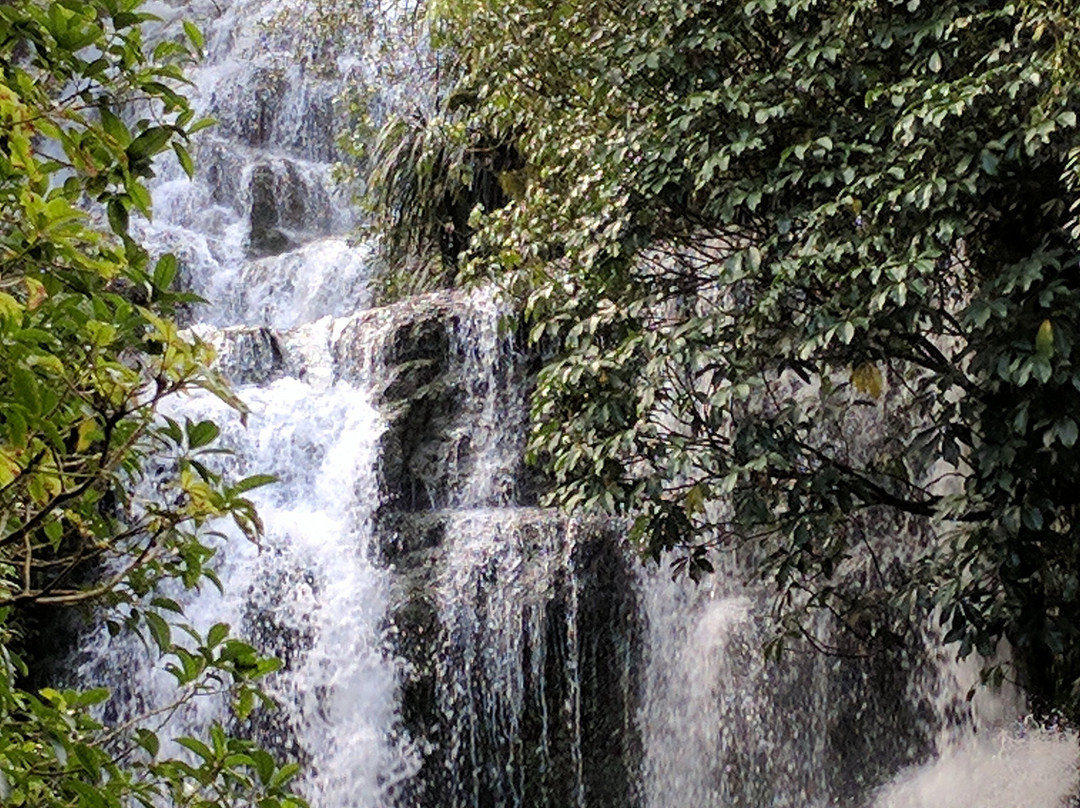 Waitanguru Falls-Piopio必去景点