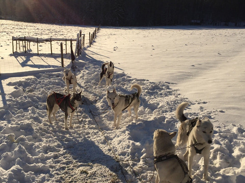 Kontiki Finland - Experiences in Finland-赫尔辛基必去景点