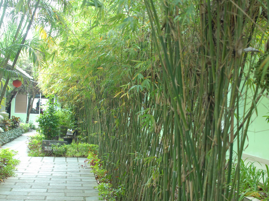 Phu Ninh Lake-Tam Ky必去景点