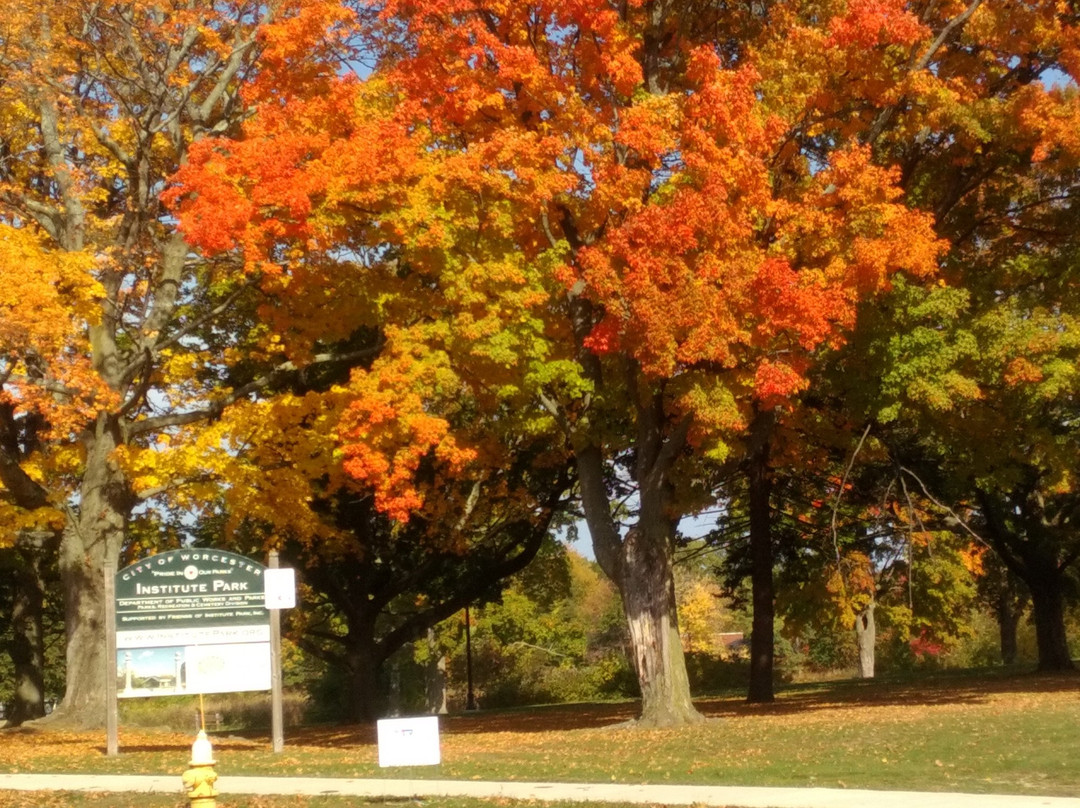 Institute Park-伍斯特必去景点