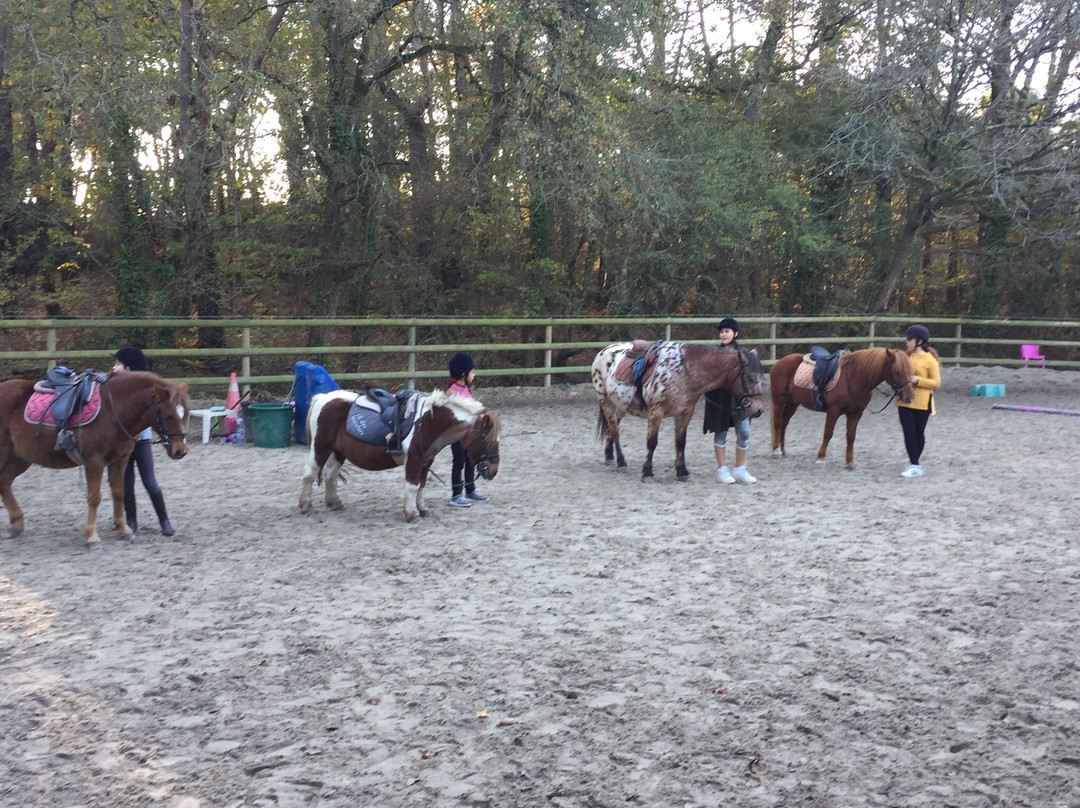 Centre Equestre Des Menhirs景点图片