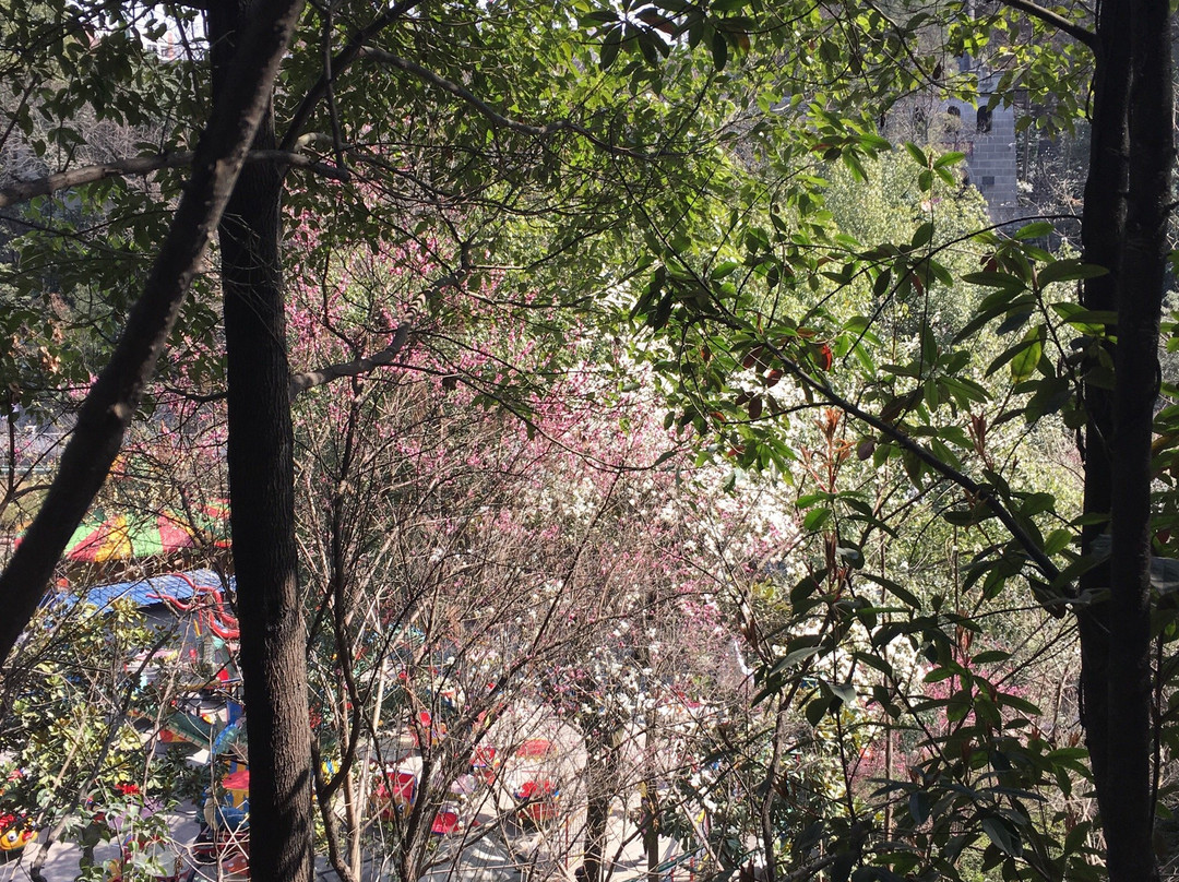 十堰人民公园-十堰市必去景点