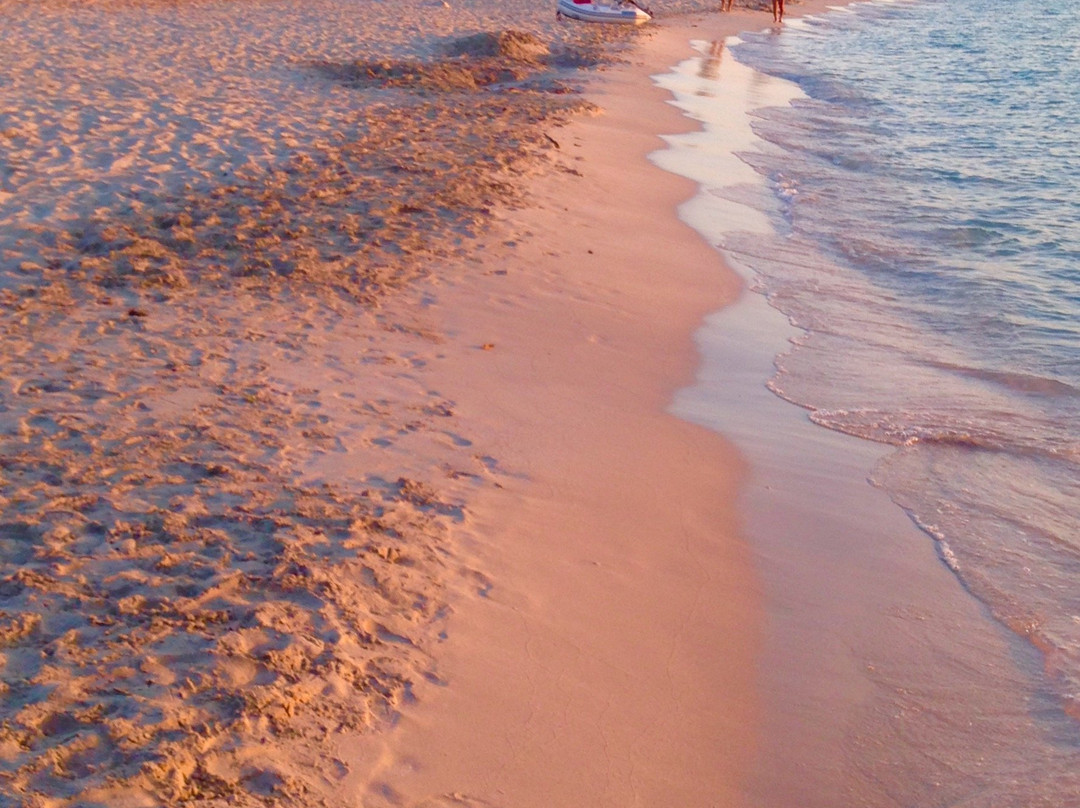 Playa de S'Espalmador-Cabrera必去景点