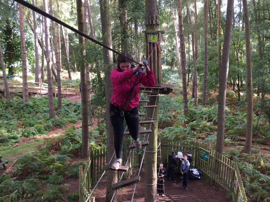 Go Ape Woburn景点图片