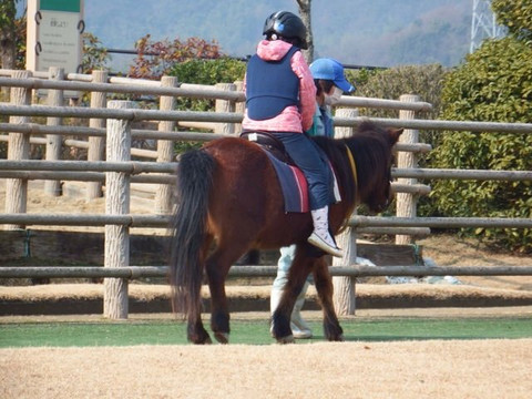 Nomauma Highland-今治市必去景点