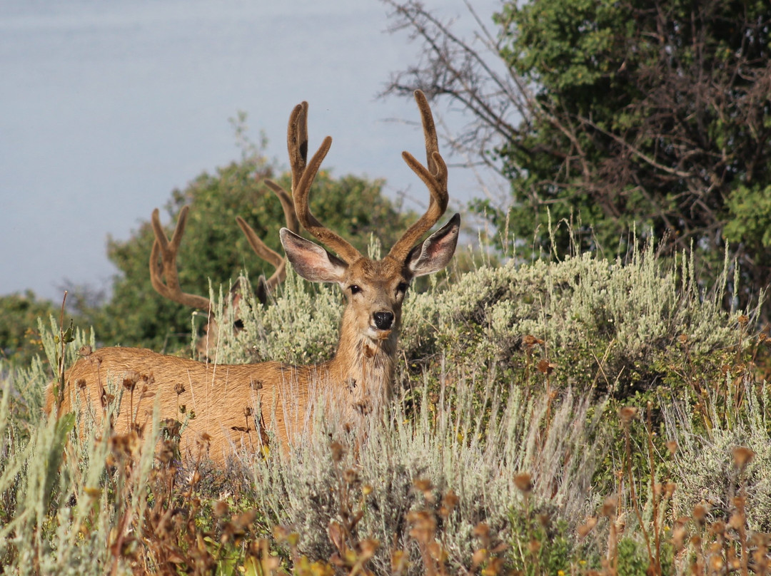 Vega State Park-Collbran必去景点