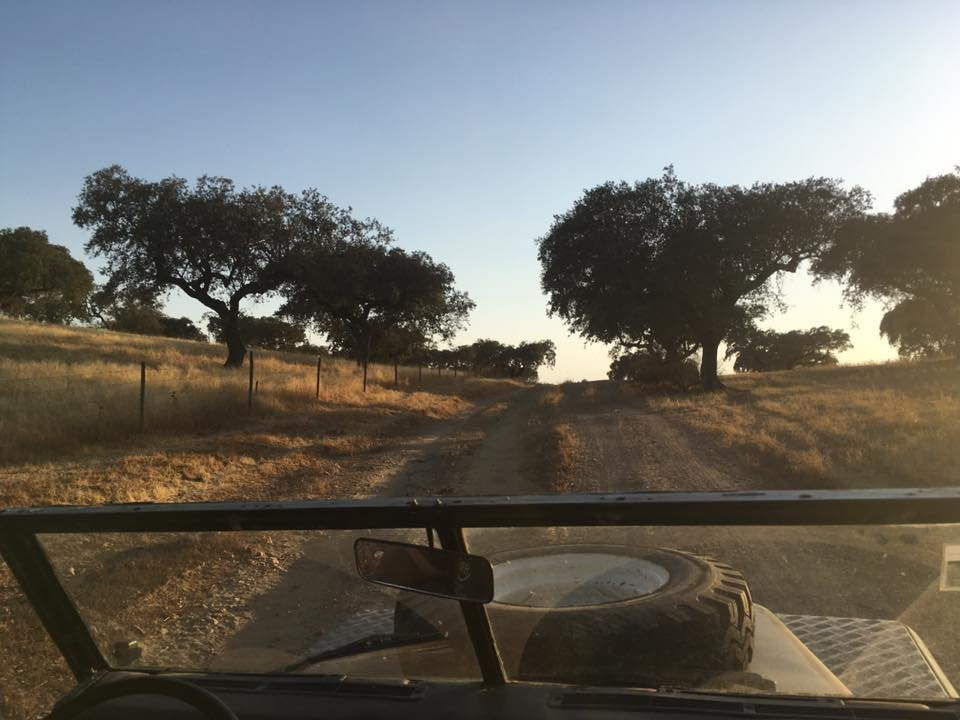 Corktrekking-Redondo必去景点