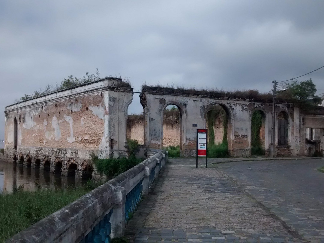 Ruínas do Casarão Macedo景点图片