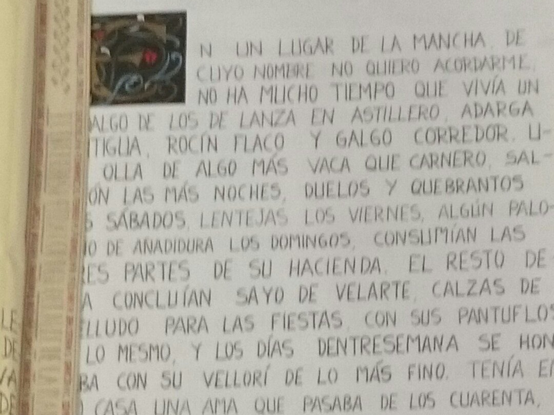 Museo Cervantino景点图片
